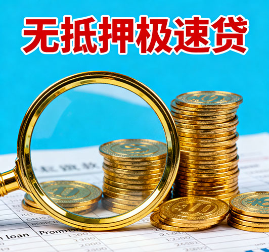 保定应急短期借款，额度高